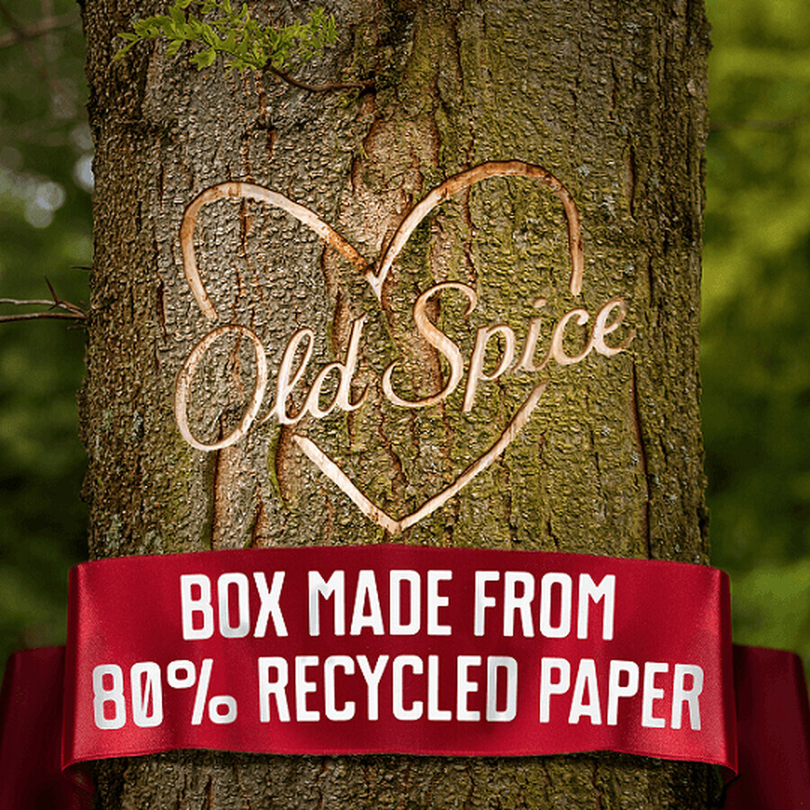 Old Spice Gamer pour hommes - coffret cadeau comprenant un déodorant en stick et un gel douche à l'argousier au goût d'agrumes tropicaux