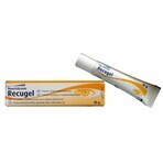 Recugel gel pour les yeux 10 g Recugel gel pour les yeux 10 g