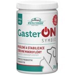 Vitar Veterinae GasterON SYMBIO pot 28 g Vitar Veterinae GasterON SYMBIO pot 28 g