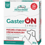 Vitar Veterinae GasterON SYMBIO pot 28 g Vitar Veterinae GasterON SYMBIO pot 28 g
