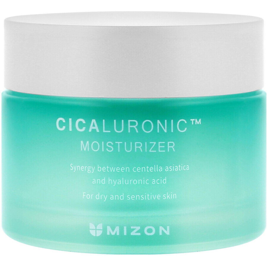 Mizon Cicaluronic Moisturizer - Anti-Wrinkle Facial Cream 50 ml
