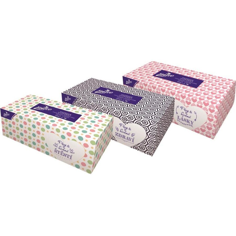 Linteo paper handkerchiefs 2 layers Box 200 pcs