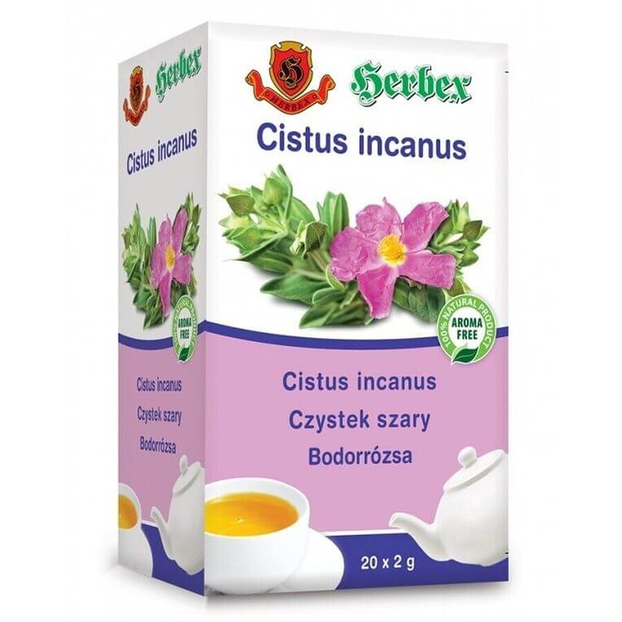 Herbex Cistus incanus (rose sauvage) 20 x 2 g