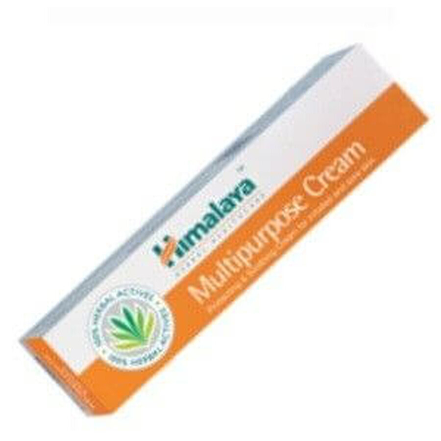 Himalaya Crema antisettica multifunzionale 20 g