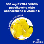 GS Pupalka 500 mg, 90 + 20 capsule GS Pupalka 500 mg, 90 + 20 capsule