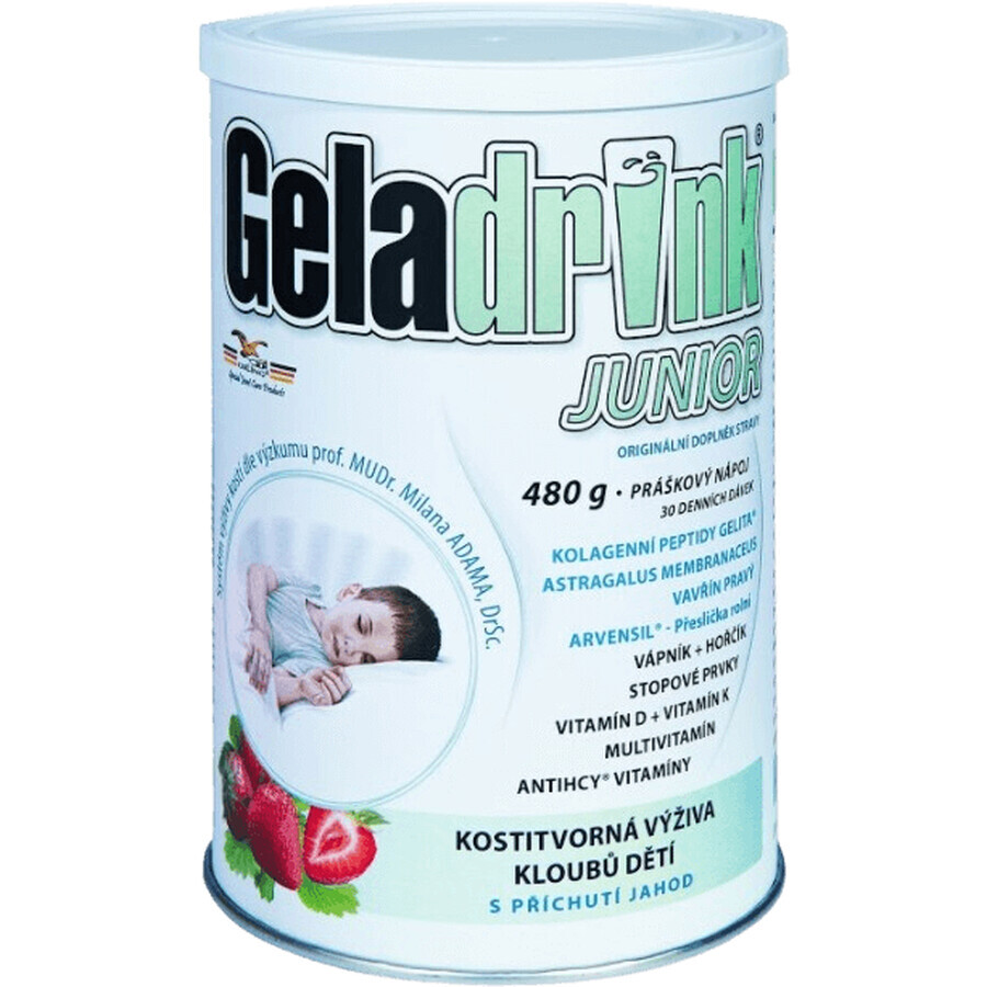 Geladrink Junior Erdbeer-Getränk 480 g