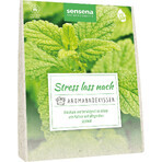 Accentra Sensena Aroma, beruhigend, Badekissen 60 g