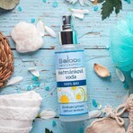 Saloos Eau de camomille 100% biologique 100 ml Saloos Eau de camomille 100% biologique 100 ml