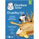 Gerber Junior bouillie de fruits sans lait avec morceaux croquants 200 g