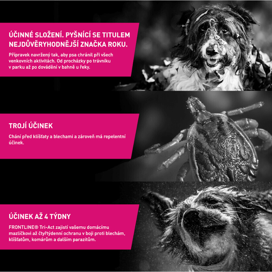 Frontline Tri-Act Spot-On per cani L terra 4 ml