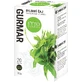 Phytopharma Thé Gurmar, portionné 20 x 1,5 g