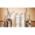 Shampoo Olaplex No.4 Bond Maintenance 250 ml