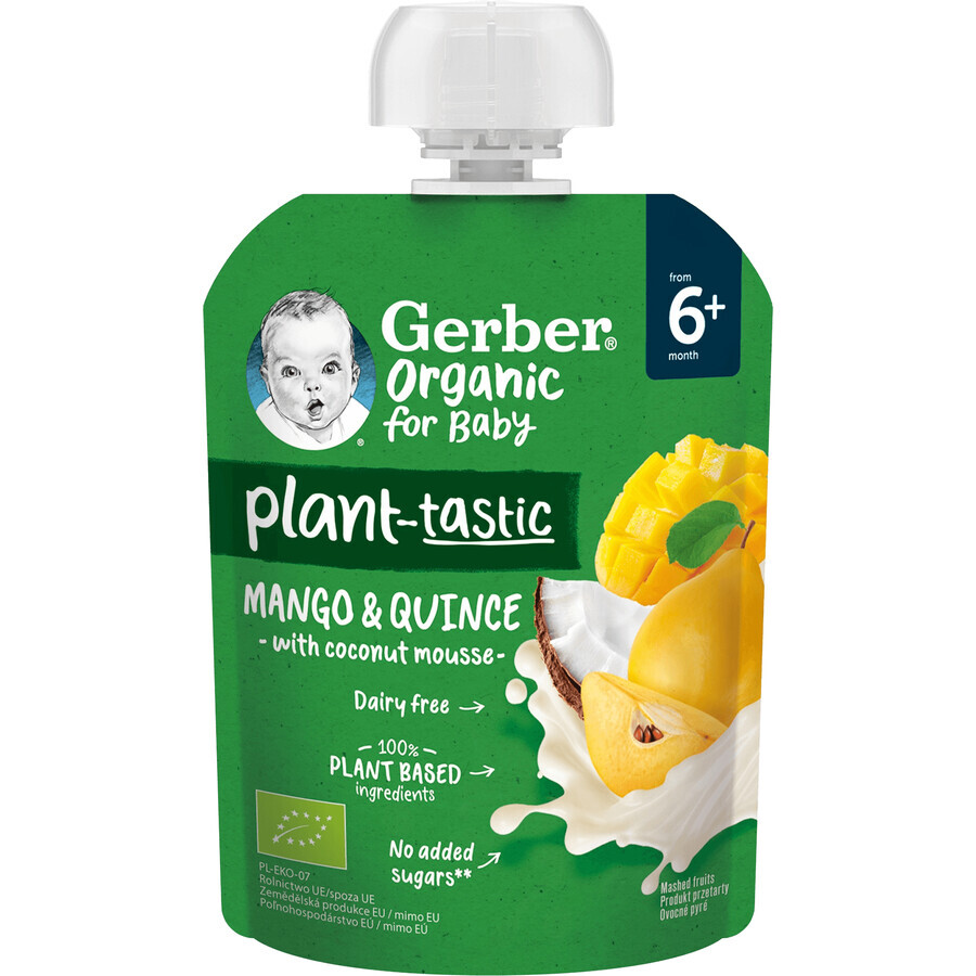 Gerber Sacchetto di mango e mele cotogne con latte di cocco biologico 80 g