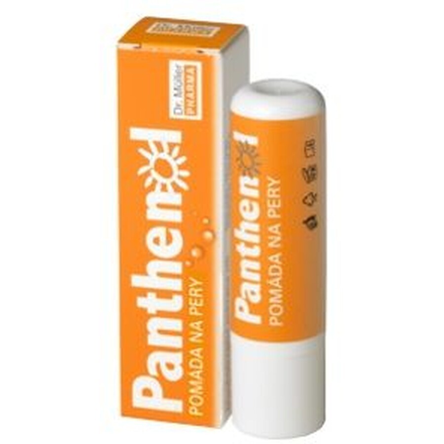 Buy Dr. Muller Dr. Muller PANTHENOL LIP HELP 4, 4 g Dr. Muller Dr. Muller PANTHENOL LIP HELP 4, 4 g
