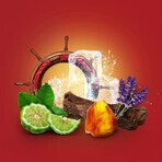 Old Spice Chef pour hommes - coffret cadeau comprenant un déodorant en spray et un gel douche Whitewater au parfum frais Old Spice Chef pour hommes - coffret cadeau comprenant un déodorant en spray et un gel douche Whitewater au parfum frais