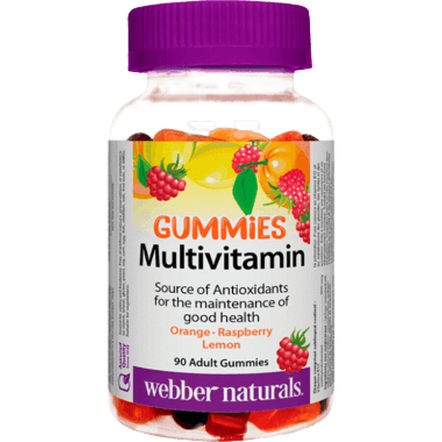 Webber Naturals Multivitamine Fruit GUMMIES voor kinderen en volwassenen 90 stuks