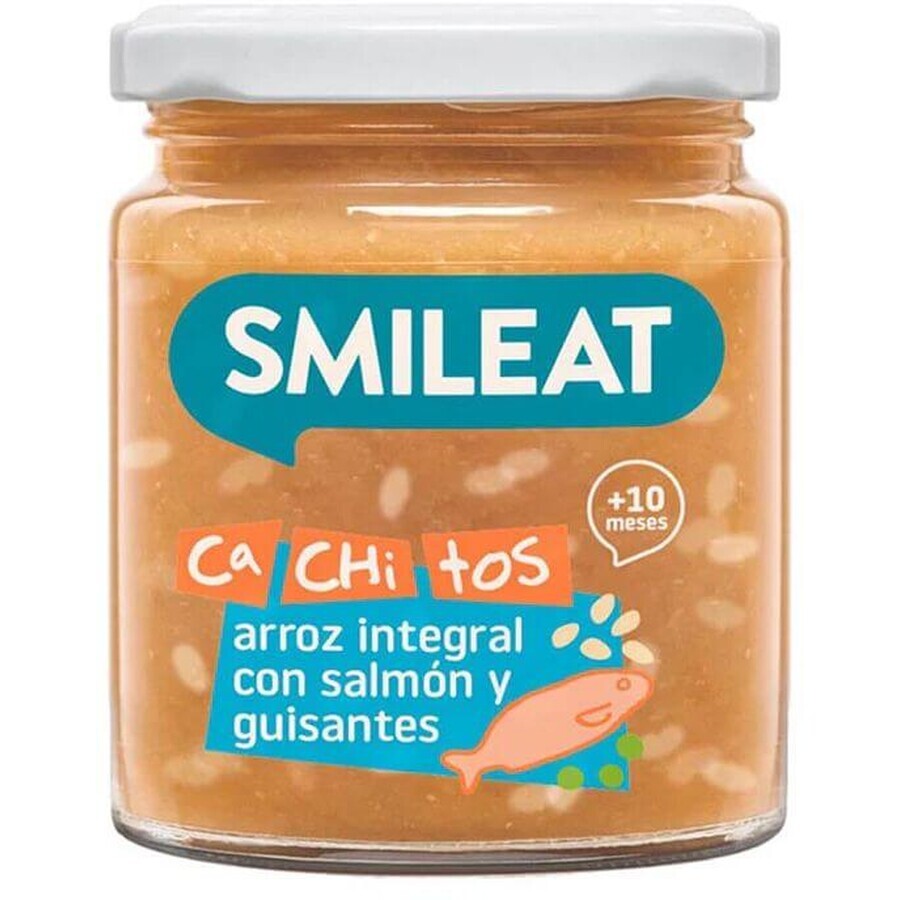 Smileat Salmón ecológico con arroz integral y verduras con aceite de oliva virgen extra 10M+ 230 g