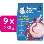 Gerber Buonanotte Lampone Porridge Cereali 9 x 230 g Gerber Buonanotte Lampone Porridge Cereali 9 x 230 g