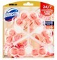 Domestos Aroma Lux Flor de Dalia y Fruta de Drag&#243;n Bloque WC 3 x 55 g
