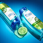 Set shampoo solido + deodorante Head & Shoulders Set shampoo solido + deodorante Head & Shoulders