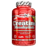 Amix Kreatin-Monohydrat 800 mg, 500 Kapseln
