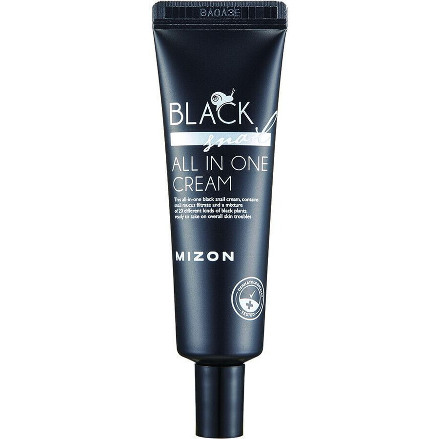 Mizon Black Snail All In One Wrinkle and Regeneration Cream 35 ml