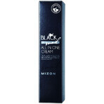 Mizon Black Snail All In One Wrinkle and Regeneration Cream 35 ml