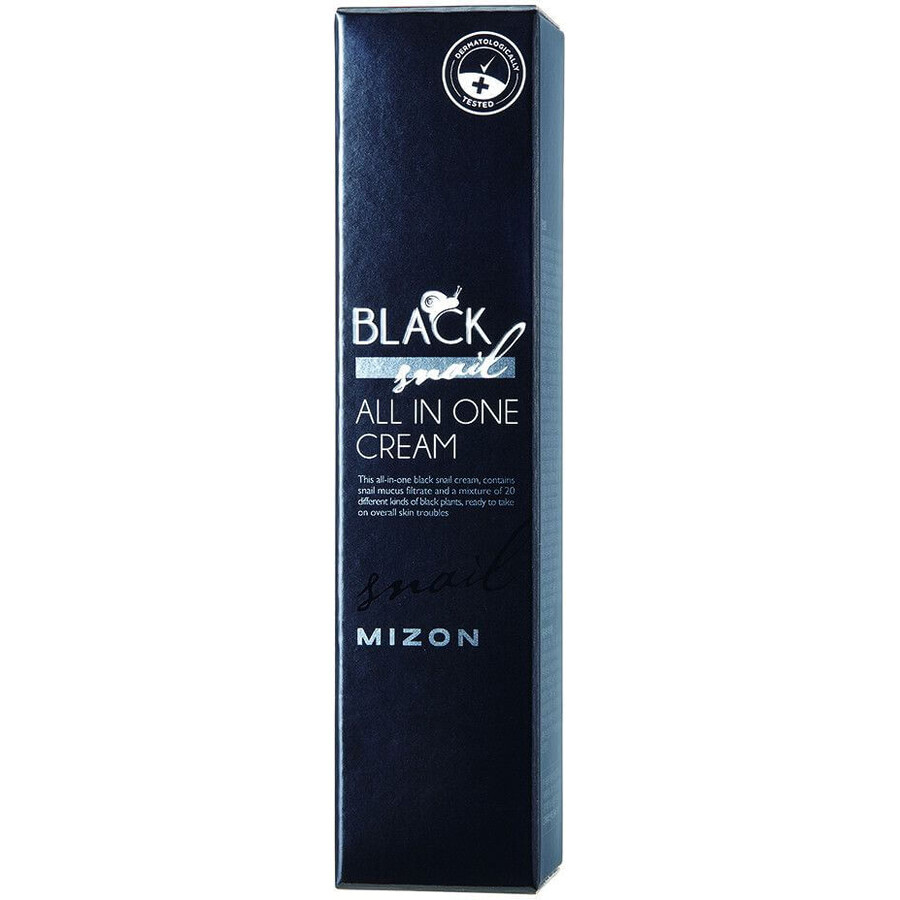 Mizon Black Snail All In One Wrinkle and Regeneration Cream 35 ml