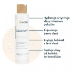 Shampooing Lobey pour cheveux normaux et colorés 200 ml Shampooing Lobey pour cheveux normaux et colorés 200 ml