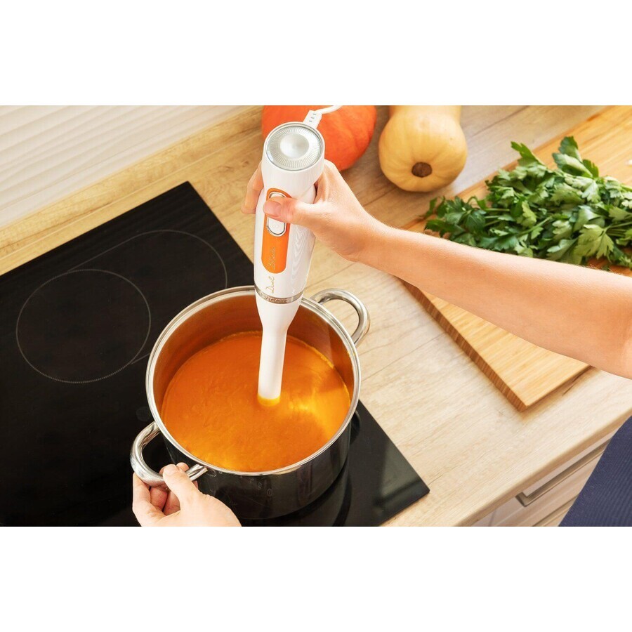 Frullatore a immersione Sencor SHB 4211WH Frullatore a immersione Sencor SHB 4211WH