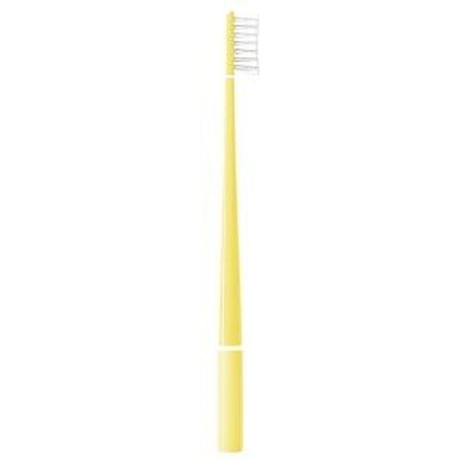 Buy Feather T03 Echinacea Lemon Soft Toothbrush Feather T03 Echinacea Lemon Soft Toothbrush