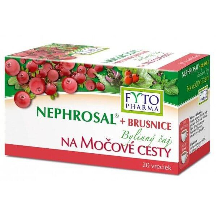 Fyto Pharma Tisana al mirtillo rosso per le vie urinarie 20 x 1,5 g