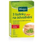 Kneipp 3 ierburi pentru drenaj 60 capsule Kneipp 3 ierburi pentru drenaj 60 capsule