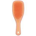 Tangle Teezer The Ultimate Detangler Mini Straight - Curly Salmon Pink Apricot Tangle Teezer The Ultimate Detangler Mini Straight - Curly Salmon Pink Apricot