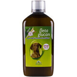 Betaglucan Glucan Sirup für Tiere 500 ml