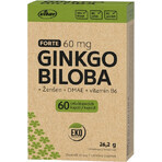Vitar EKO Ginkgo biloba 60mg + DMAE + Vitamine B6, 60 gélules Vitar EKO Ginkgo biloba 60mg + DMAE + Vitamine B6, 60 gélules