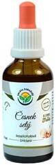 Salvia Paradise Aglio AF tintura 50 ml