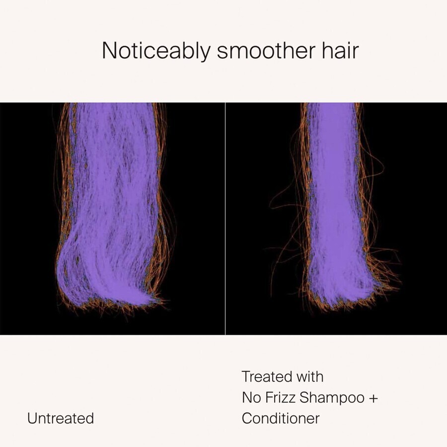 Living Proof No Frizz Anti-frizz shampoo 236 ml