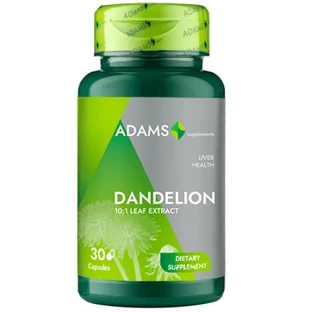 Paardenbloemextract, 370 mg, 30 capsules, Adams Supplementen
