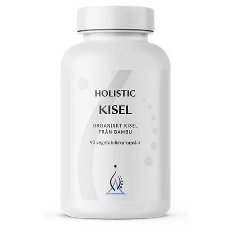 Holistisch Kisel - Organisch Silicium 250mg 90 caps