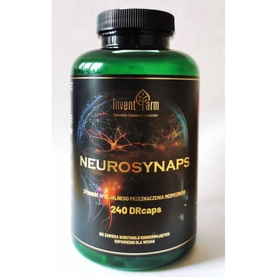 Neurosynaps 240 Kapseln Invent Farm