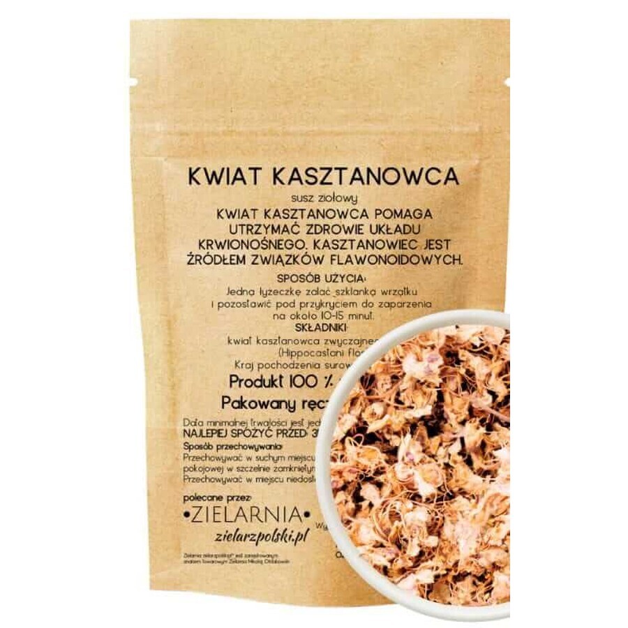 Horse chestnut flower 50g ZIELARZPOLSKI