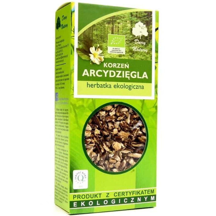Angelica root ORGAN ORGANIC 100g Gifts from nature