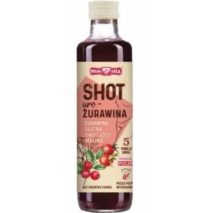 Shot Cranberry (mixed fruit juice) 250ml Polska Róża