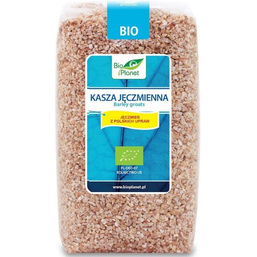 BIO PLANET Fulgi de orz BIO 500g