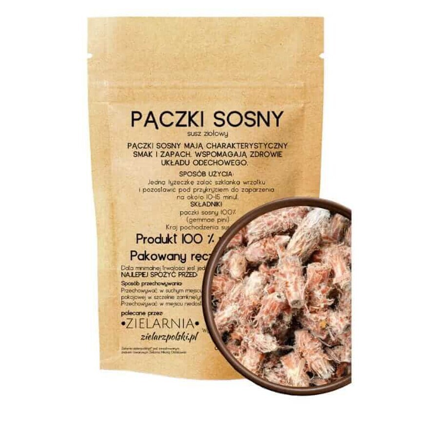 Pine shoots 50g ZIELARZPOLSKI