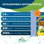 Astaxanthine, 8 mg, 60 softgels, NewLife+