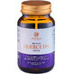 Premium Quercetin Premium Quercetin, 500 mg, 60 capsules, Aronia Charlottenburg