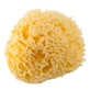 Natuurlijke badspons, Rotho BabyDesign