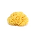 Natural honeycomb sponge, size 14, Ok Baby